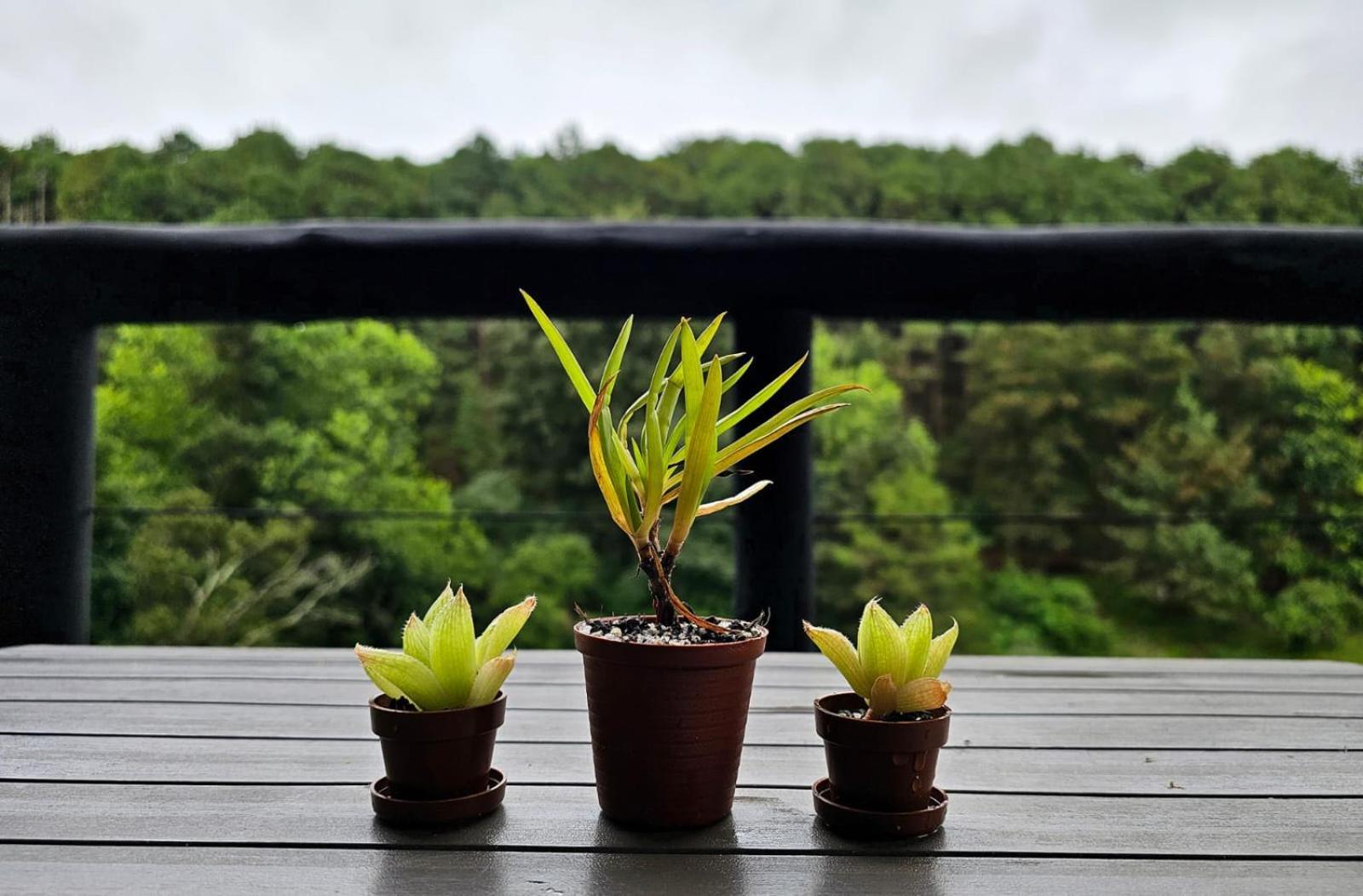 Silver Mist Resort, 하에네르츠버그 외부 사진